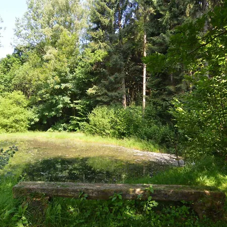 Cosy Holiday Home In Noirefontaine With Garden Bellevaux