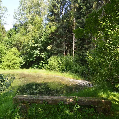 Family With Garden * Bellevaux