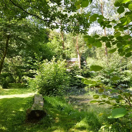 Cosy Holiday Home In Noirefontaine With Garden Bellevaux