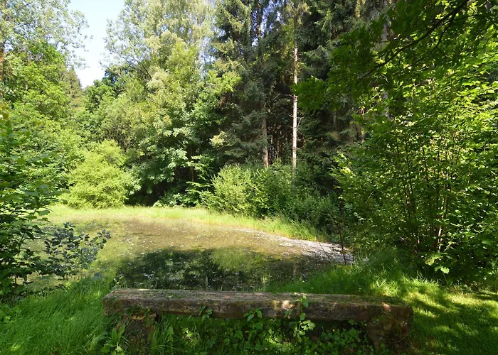 Family With Garden * Bellevaux